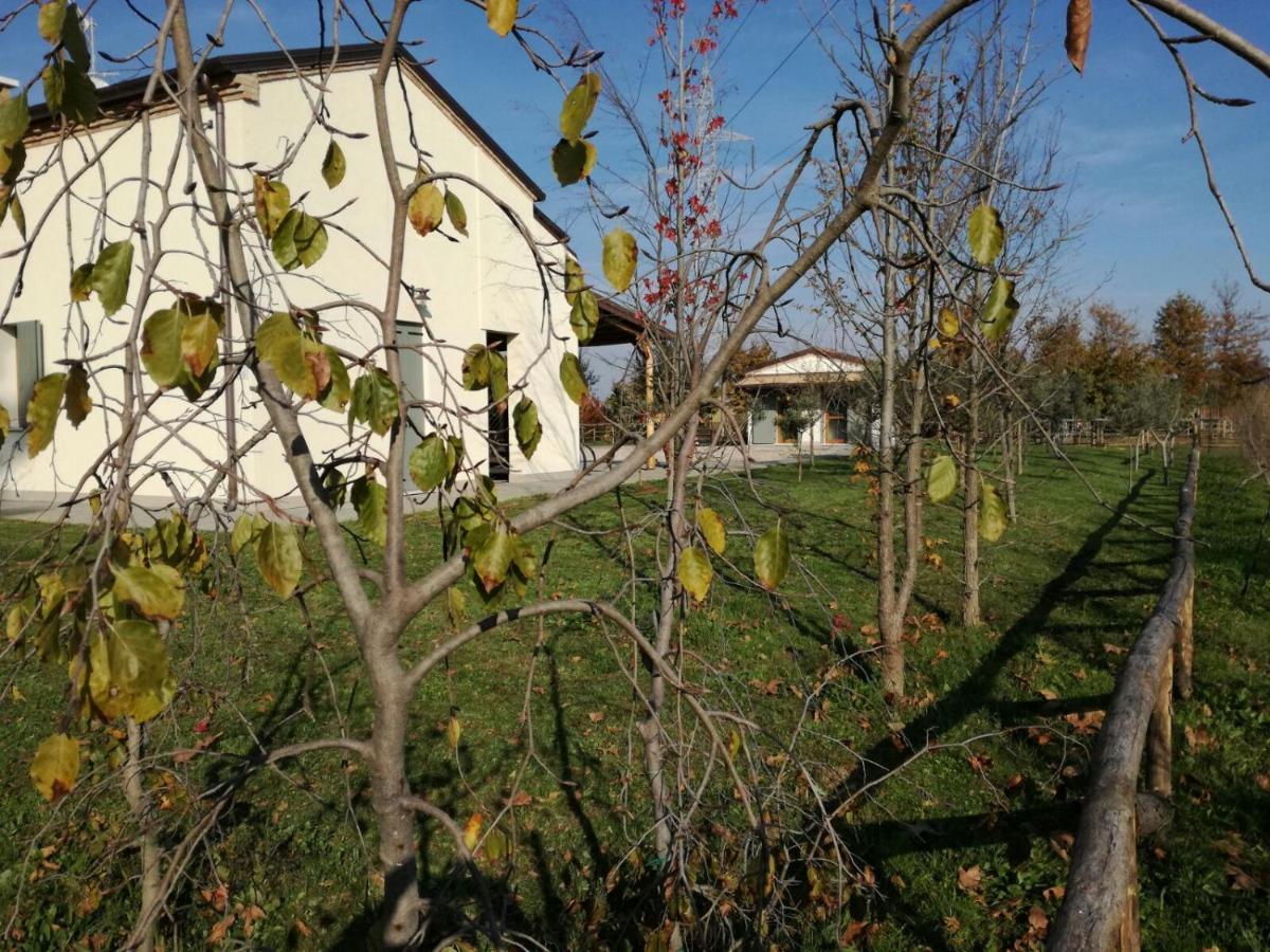 Agriturismo Corte Benetti Rovigo Eksteriør bilde