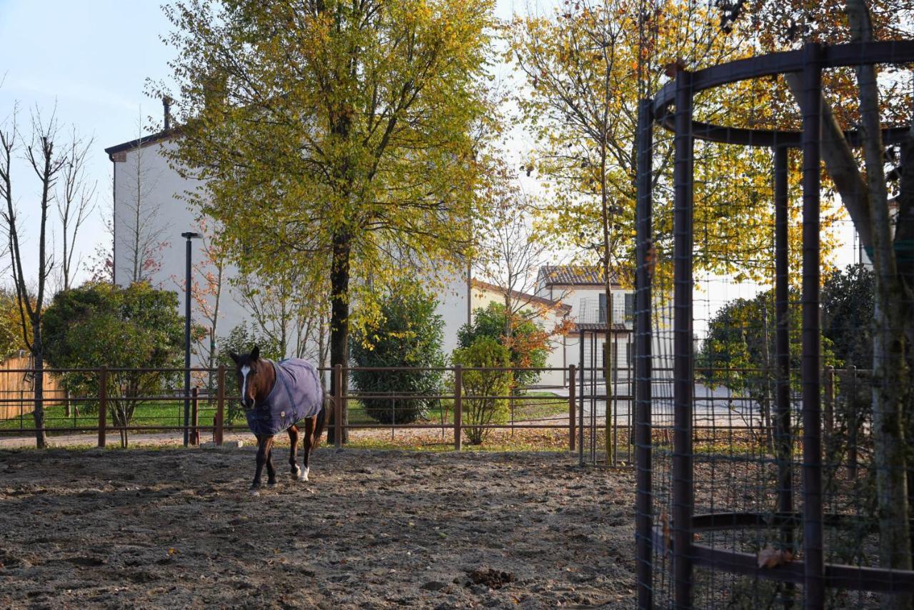 Agriturismo Corte Benetti Rovigo Eksteriør bilde